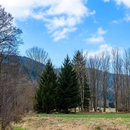 Apartment Appt 4 Pers-chalet L'ancienne Ecole La Bresse